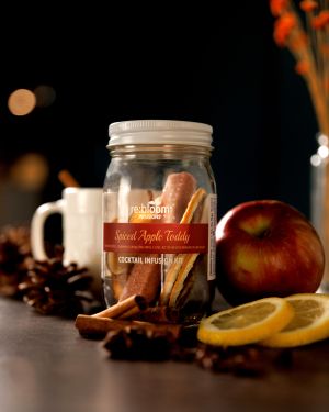 Spiced apple toddy dehydrated cocktail mocktail infusion kit surrounded by cinnamon apples and fresh citrus